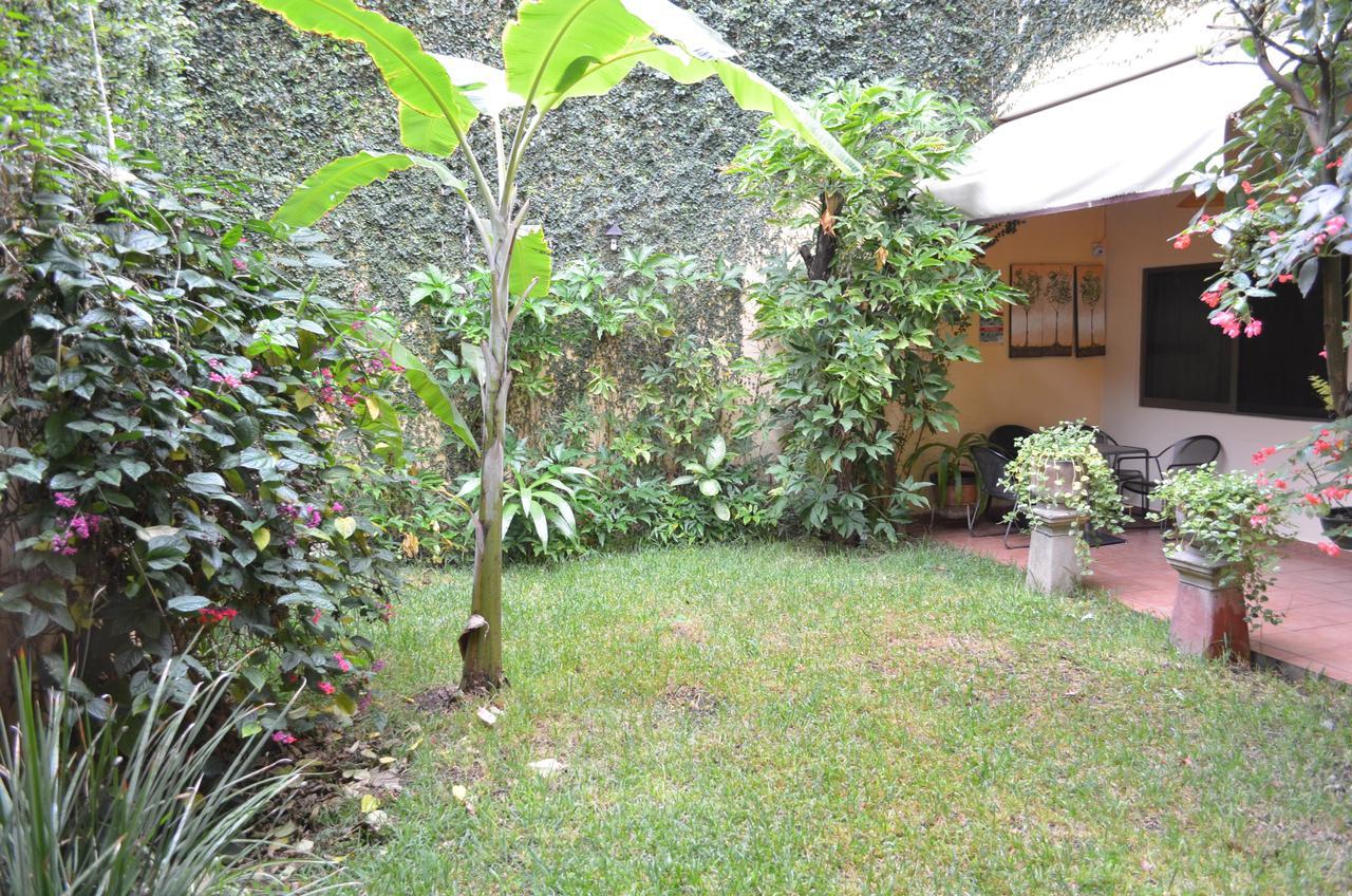 Hotel Don Nino Oaxaca Екстер'єр фото